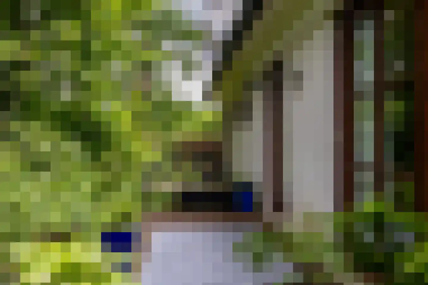 Scheurbroeksesteeg 21 Haaren thumbnail 22