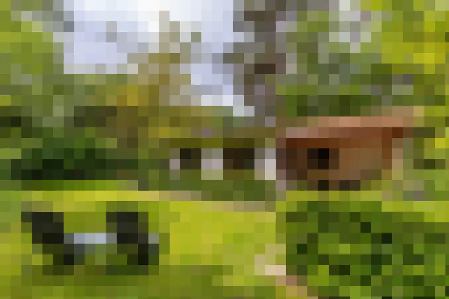 Scheurbroeksesteeg 21 Haaren thumbnail 23
