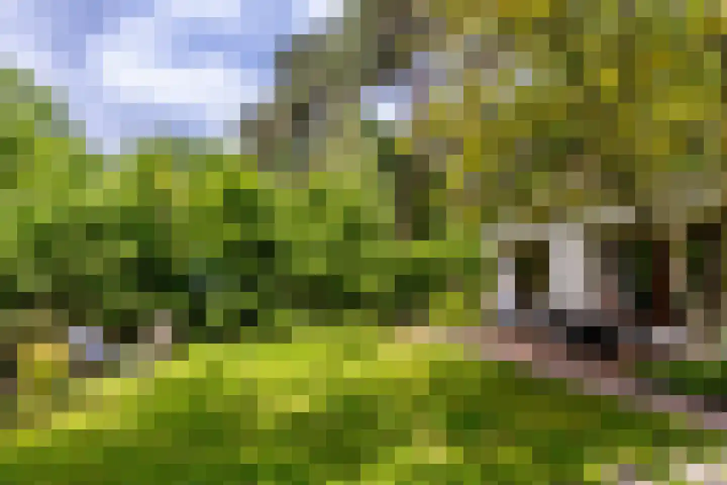 Scheurbroeksesteeg 21 Haaren thumbnail 24