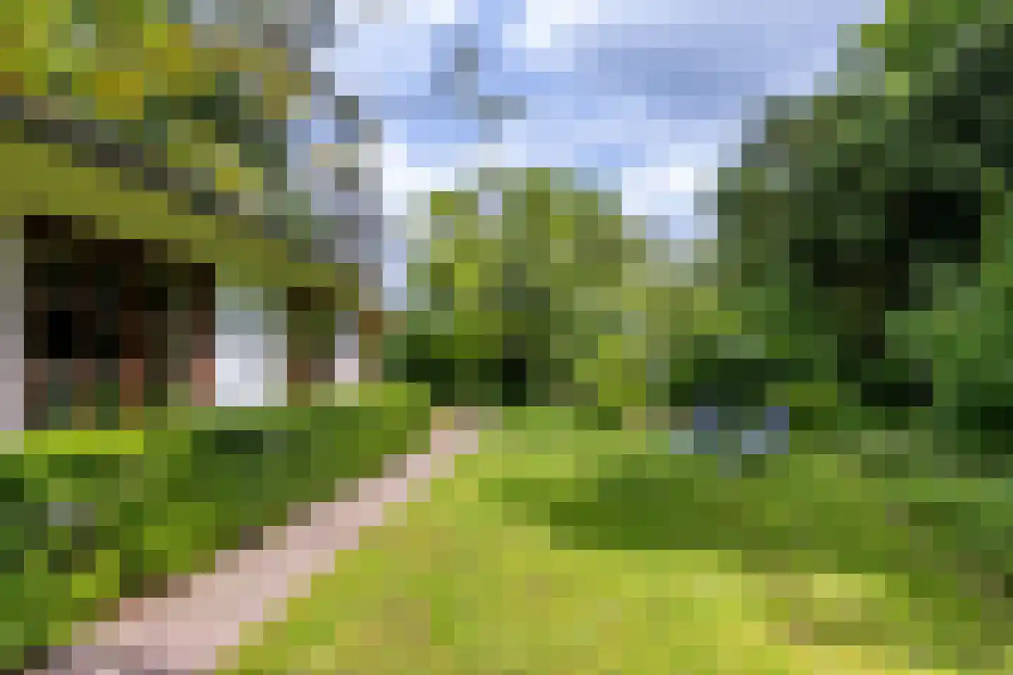 Scheurbroeksesteeg 21 Haaren thumbnail 27