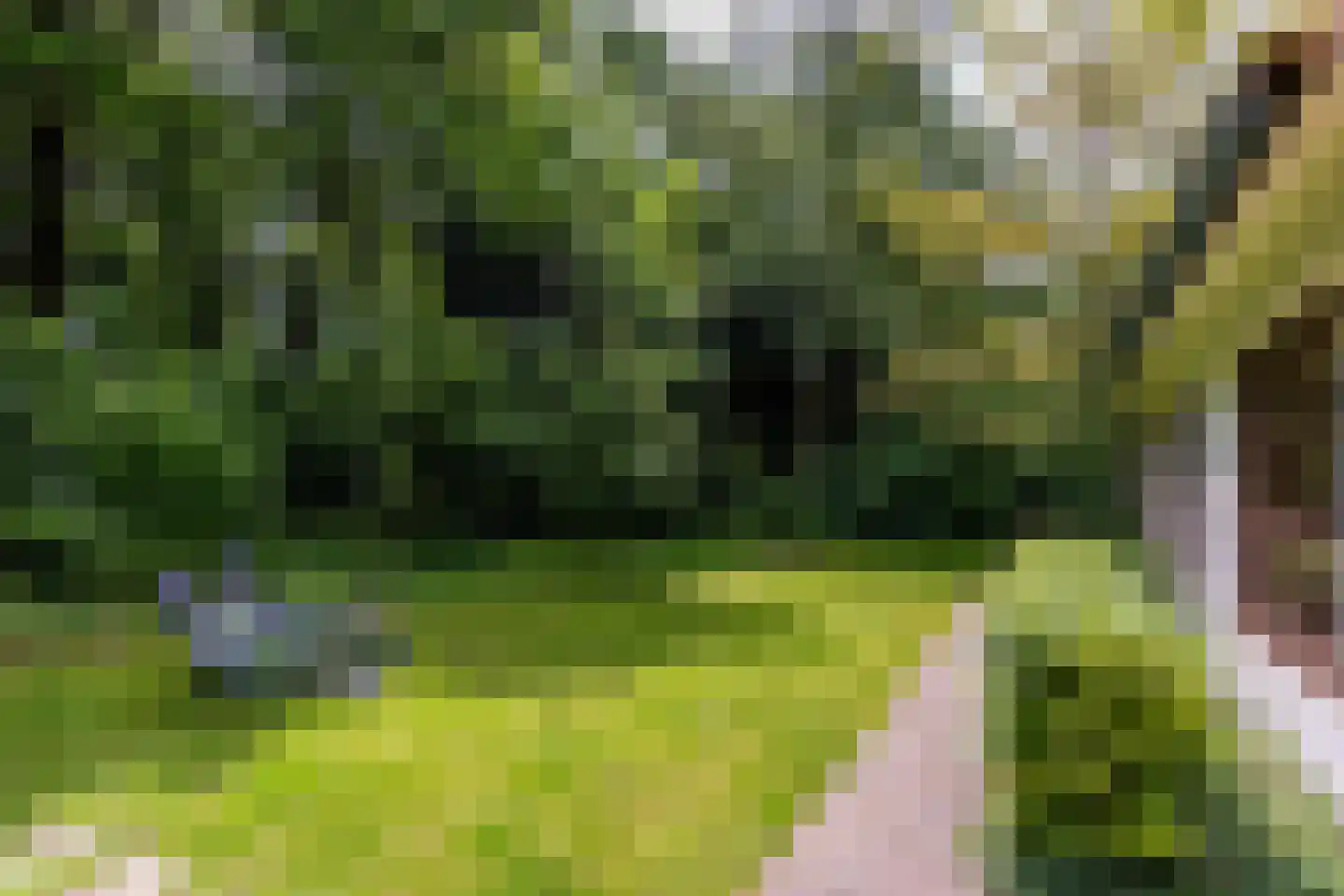 Scheurbroeksesteeg 21 Haaren thumbnail 28