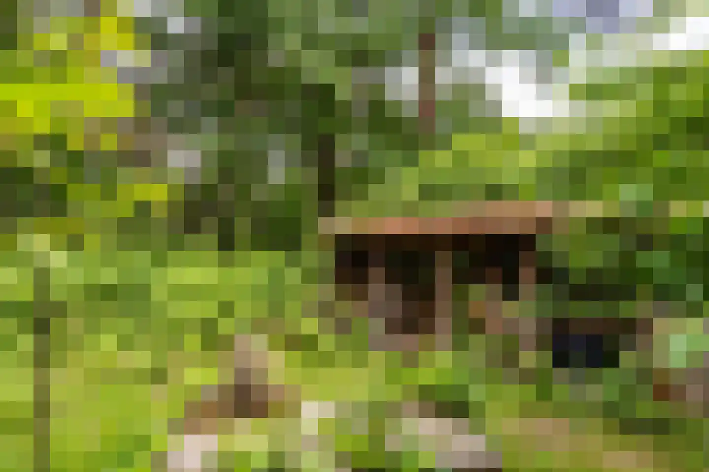 Scheurbroeksesteeg 21 Haaren thumbnail 31