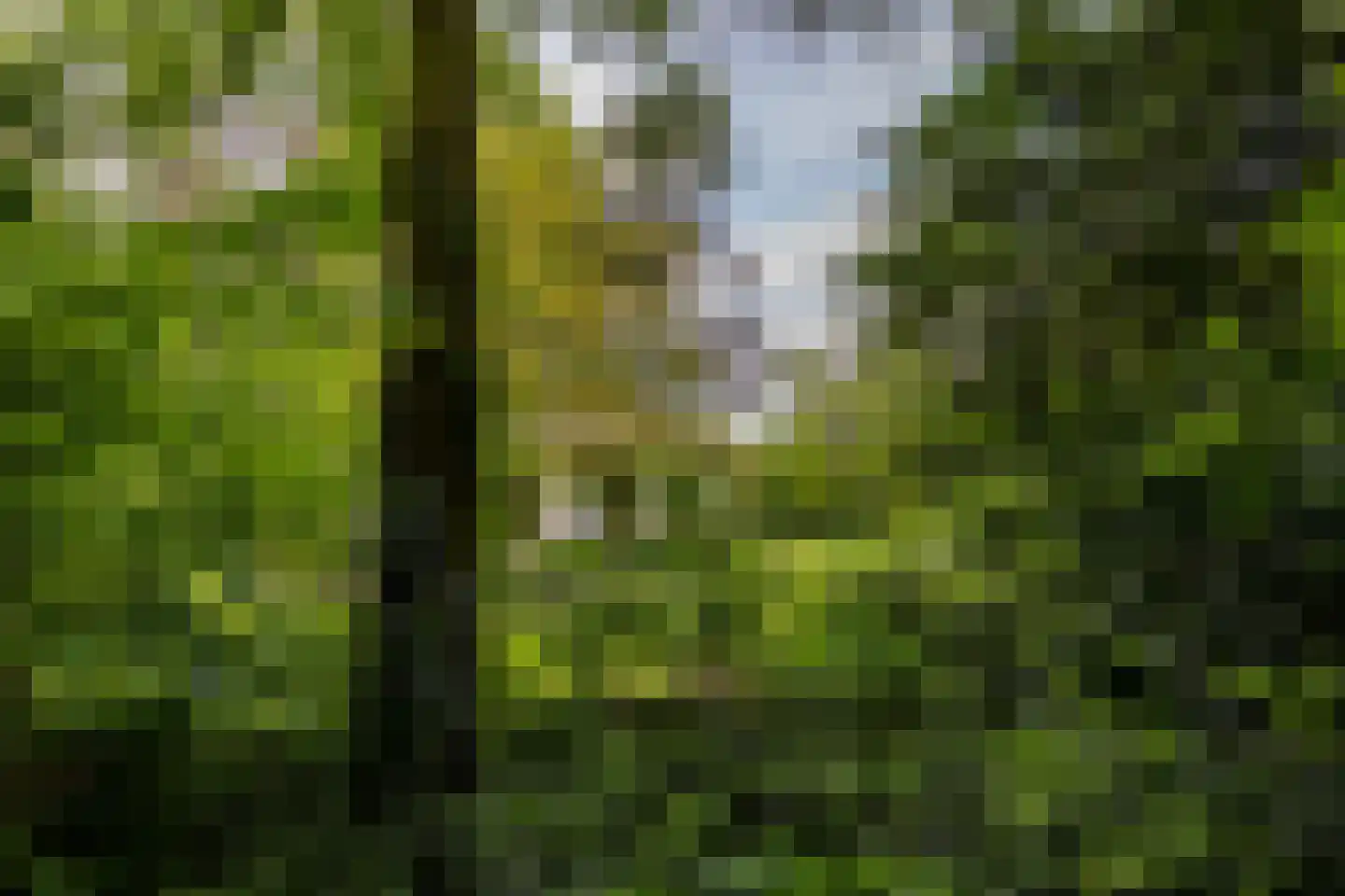 Scheurbroeksesteeg 21 Haaren thumbnail 33