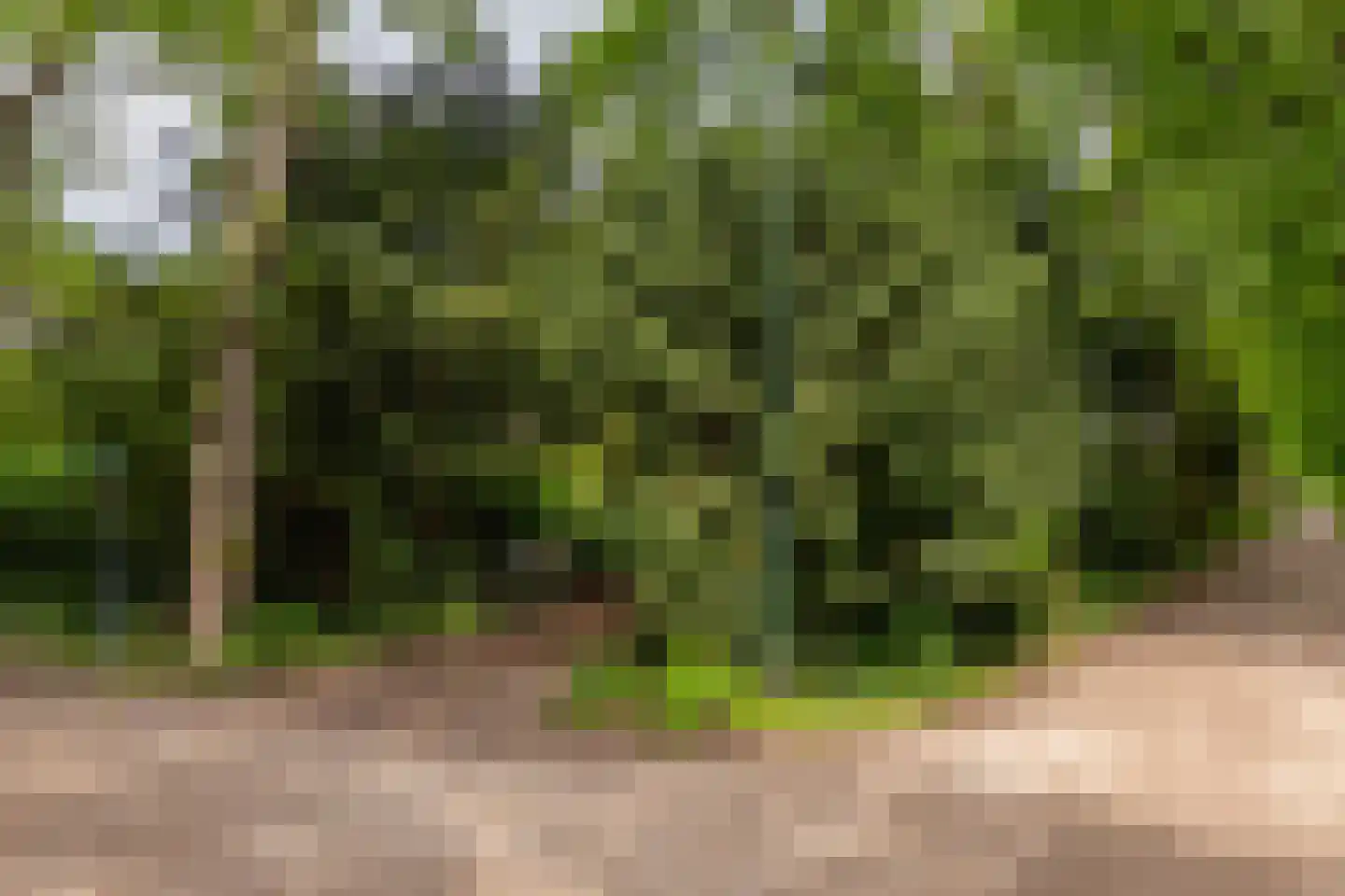 Scheurbroeksesteeg 21 Haaren thumbnail 36