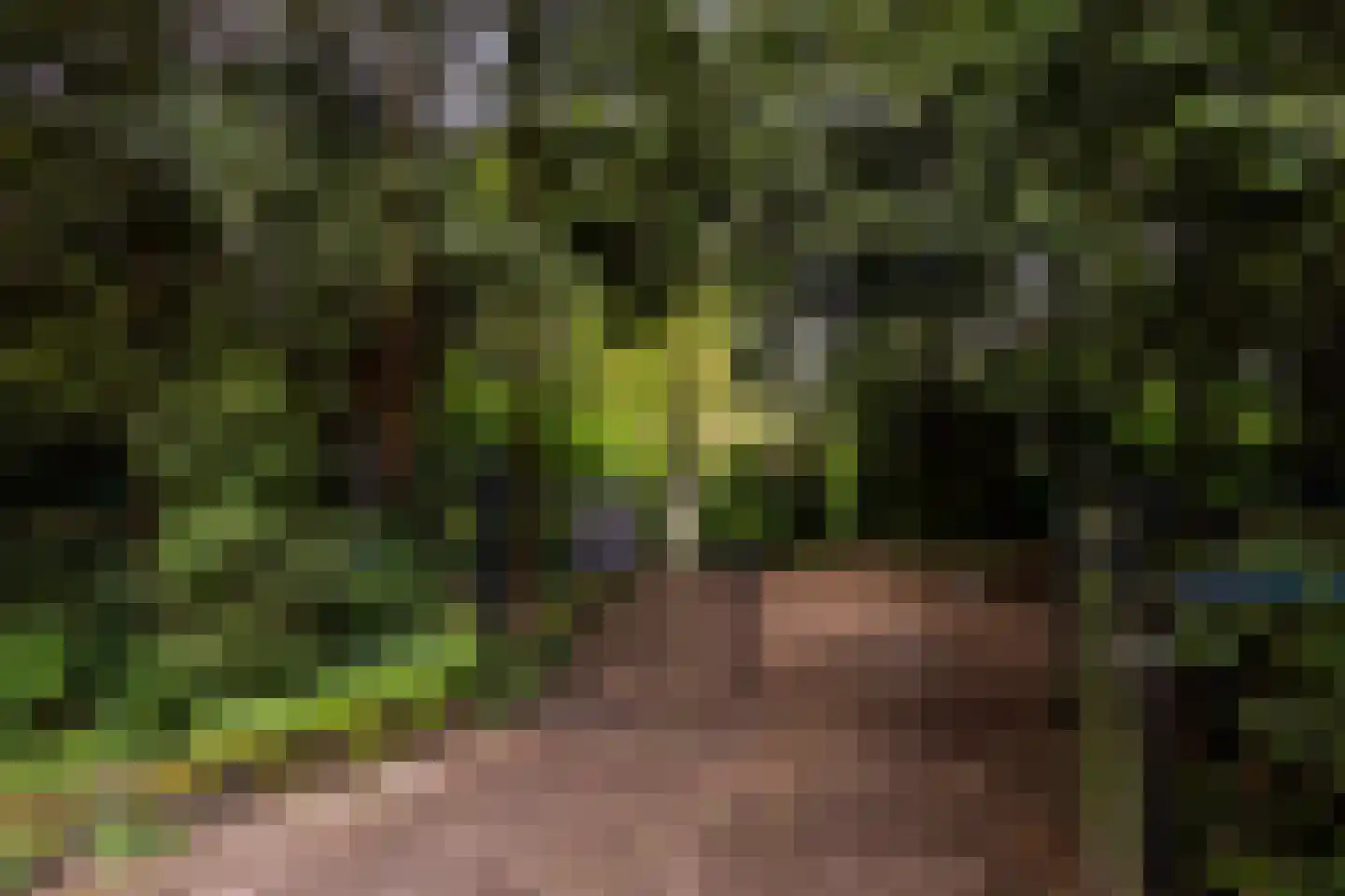 Scheurbroeksesteeg 21 Haaren thumbnail 37
