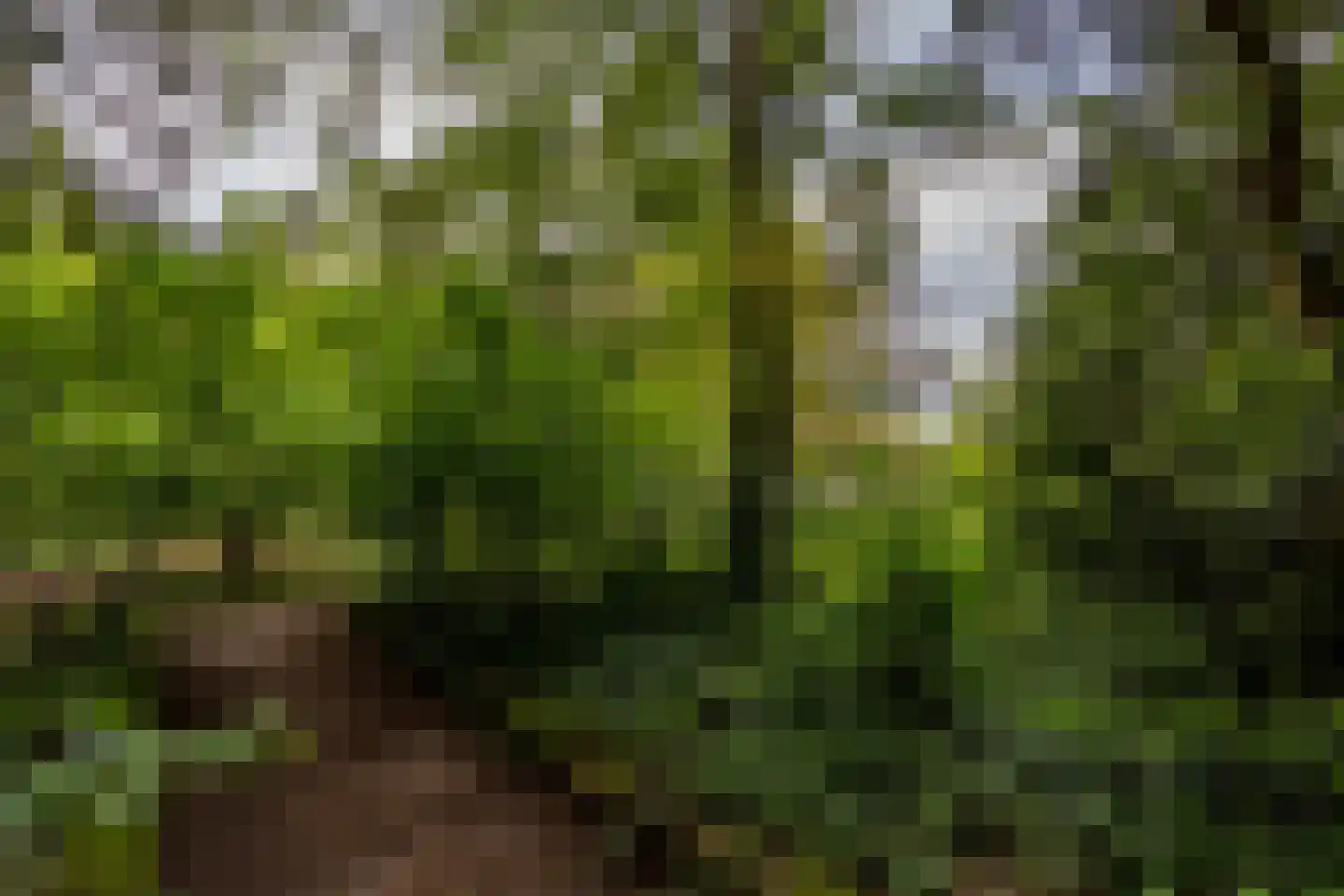 Scheurbroeksesteeg 21 Haaren thumbnail 38