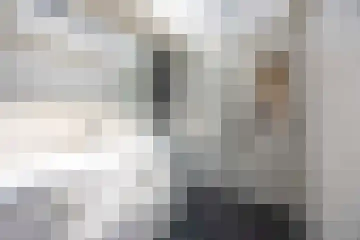 Scheurbroeksesteeg 25 Haaren thumbnail 20