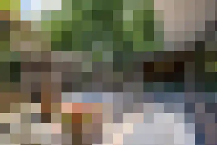 Scheurbroeksesteeg 25 Haaren thumbnail 29