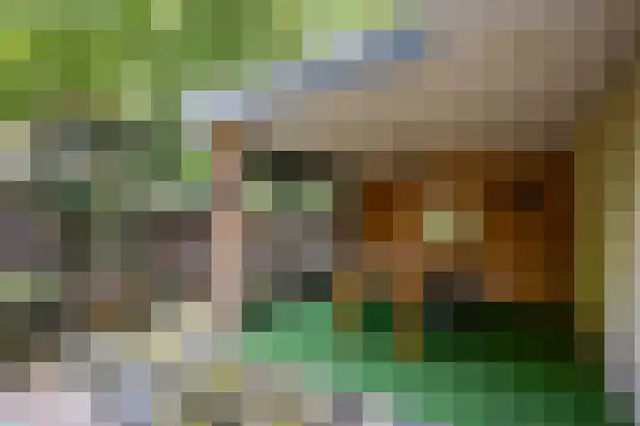 Scheurbroeksesteeg 25 Haaren thumbnail 30