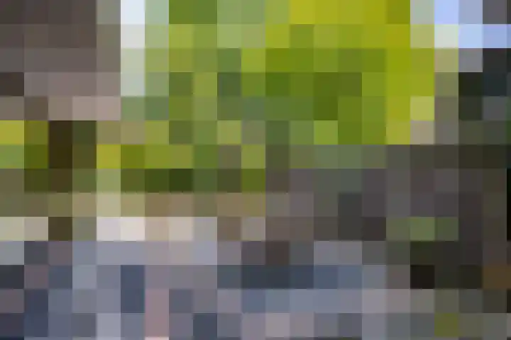 Scheurbroeksesteeg 25 Haaren thumbnail 31