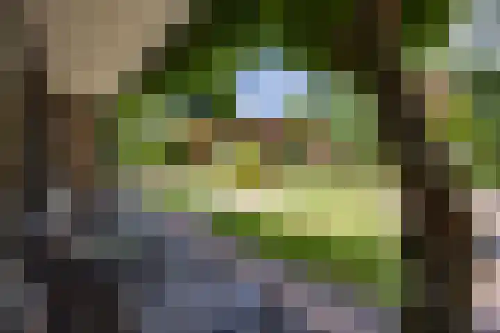 Scheurbroeksesteeg 25 Haaren thumbnail 33
