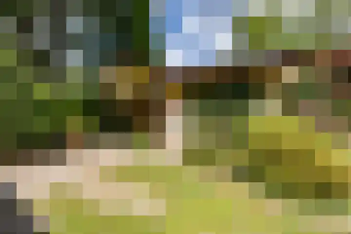 Scheurbroeksesteeg 25 Haaren thumbnail 34