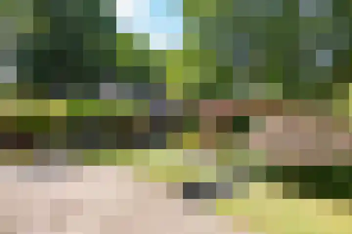Scheurbroeksesteeg 25 Haaren thumbnail 42