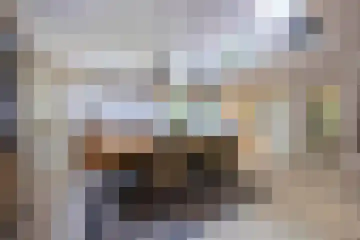 Scheurbroeksesteeg 25 Haaren thumbnail 6