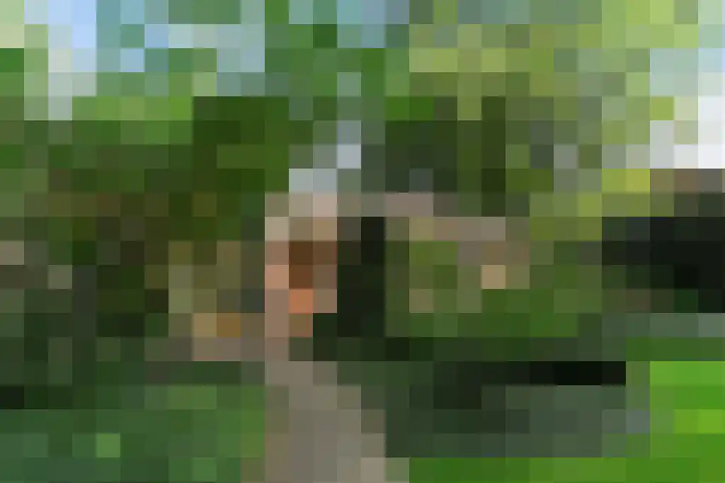Scheurbroeksesteeg 7 Haaren
