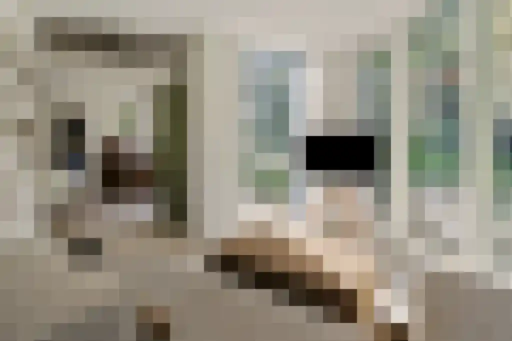 Scheurbroeksesteeg 7 Haaren thumbnail 4
