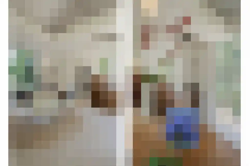 Scheurbroeksesteeg 7 Haaren thumbnail 5