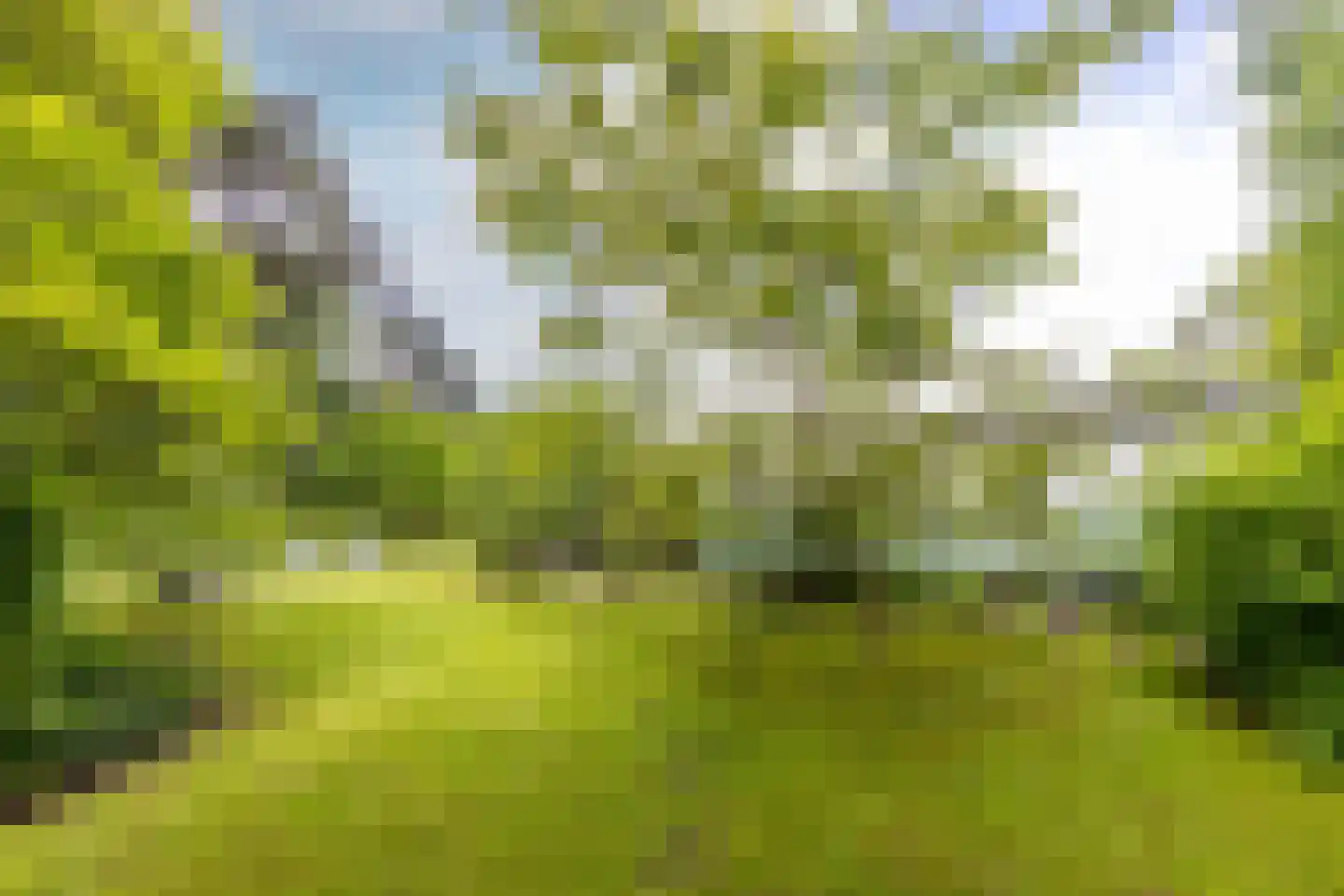 Scheurbroeksesteeg Haaren thumbnail 10