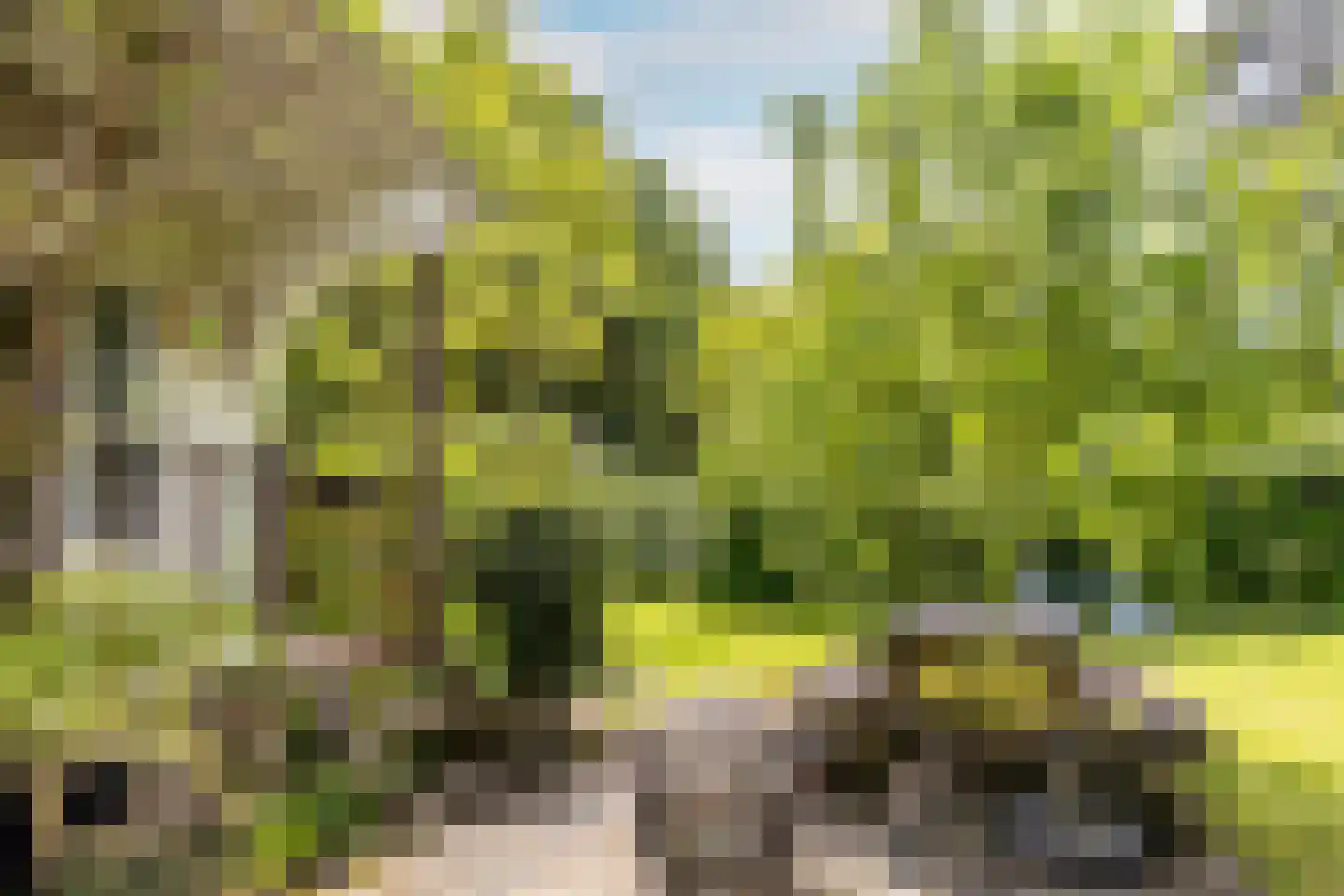 Scheurbroeksesteeg Haaren thumbnail 11