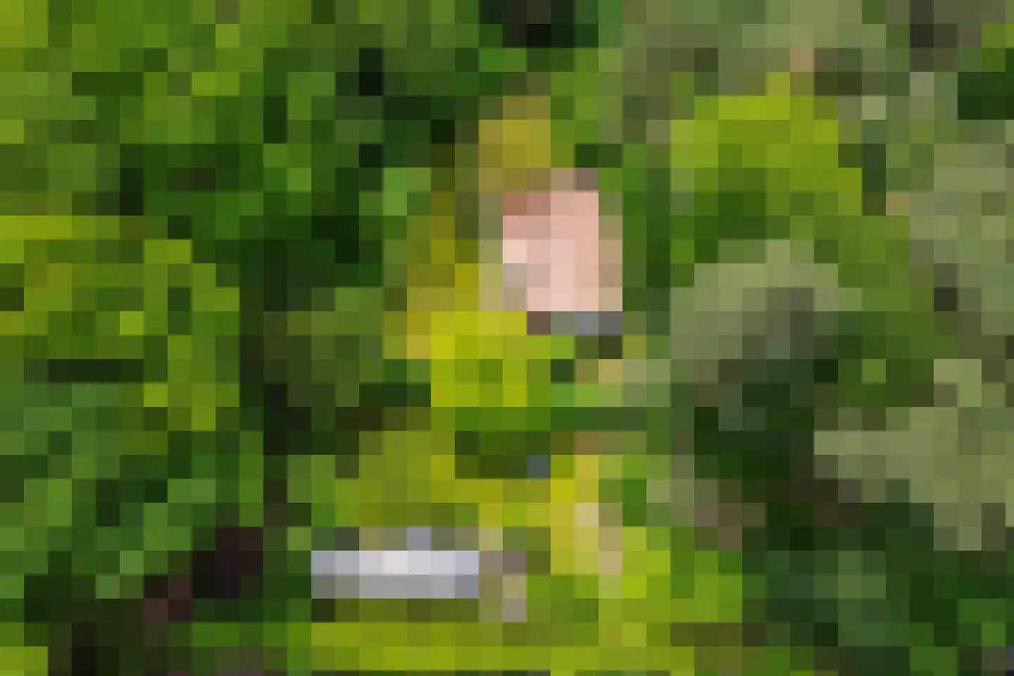 Scheurbroeksesteeg Haaren thumbnail 4