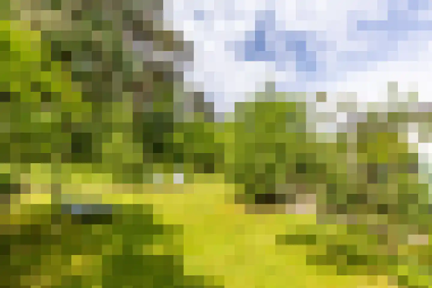 Scheurbroeksesteeg Haaren thumbnail 8