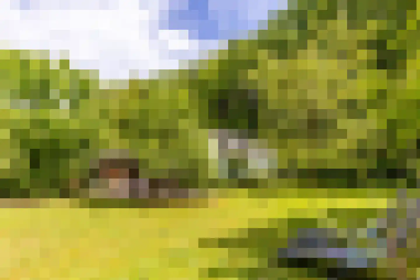 Scheurbroeksesteeg Haaren thumbnail 9