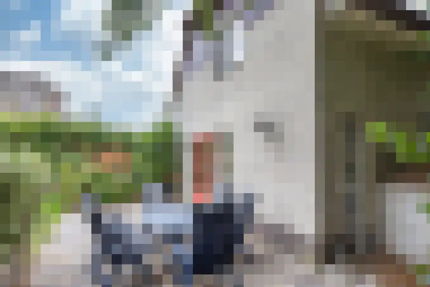 Scheurrak 5 Makkum thumbnail 31