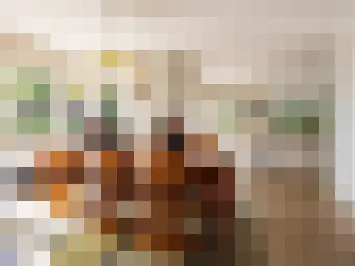 Scheuterdijk 27 Eefde thumbnail 12