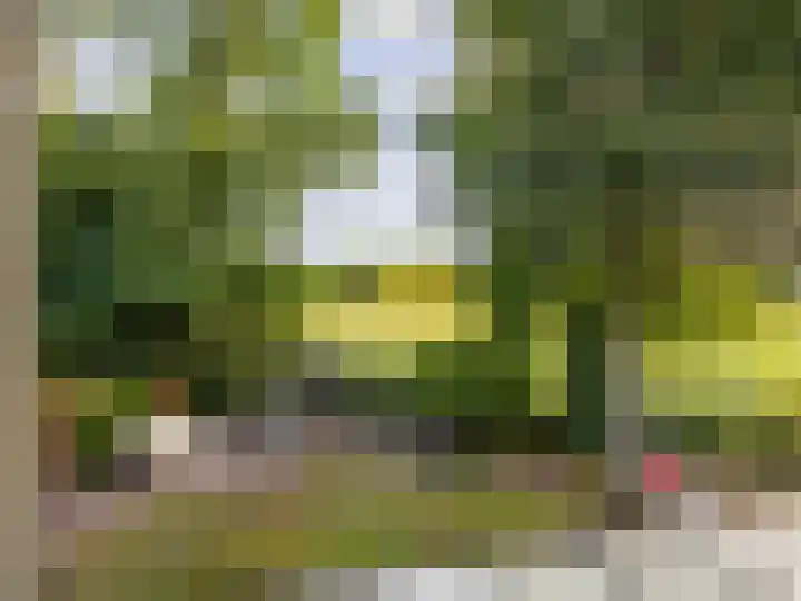 Scheuterdijk 27 Eefde thumbnail 27