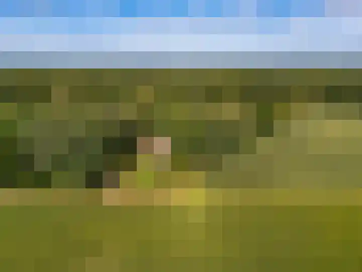 Scheuterdijk 27 Eefde thumbnail 39