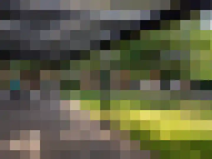 Scheuterdijk 27 Eefde thumbnail 41