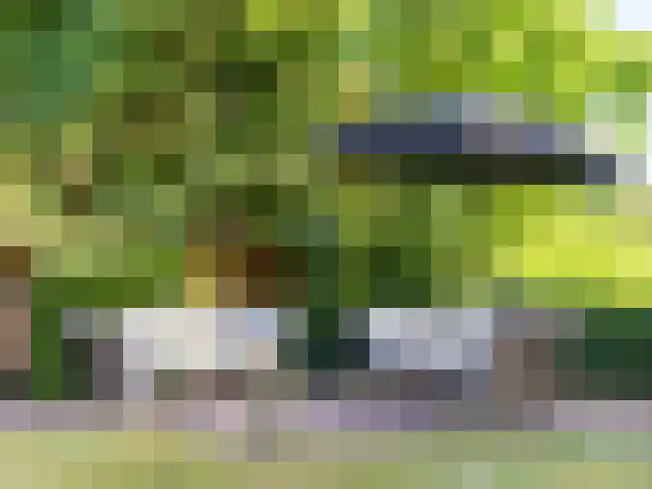 Scheuterdijk 27 Eefde thumbnail 42