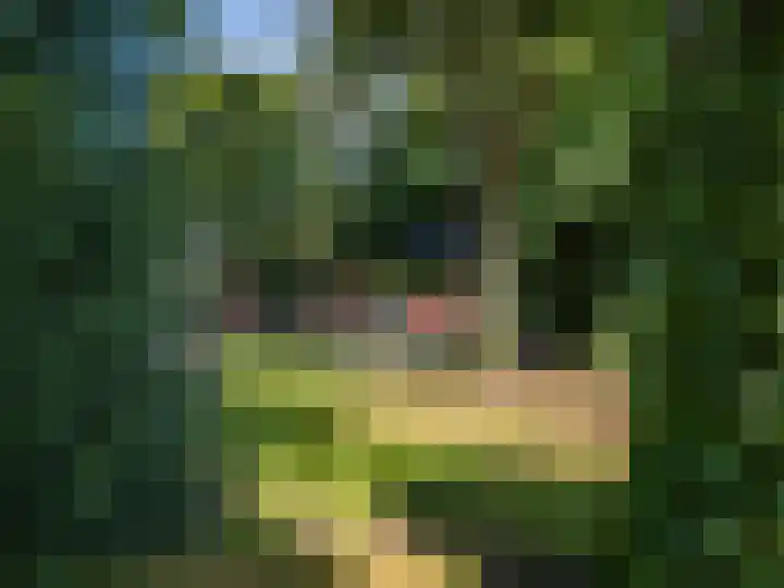 Scheuterdijk 27 Eefde thumbnail 43