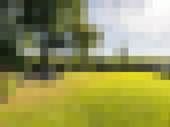 Scheuterdijk 27 Eefde thumbnail 49
