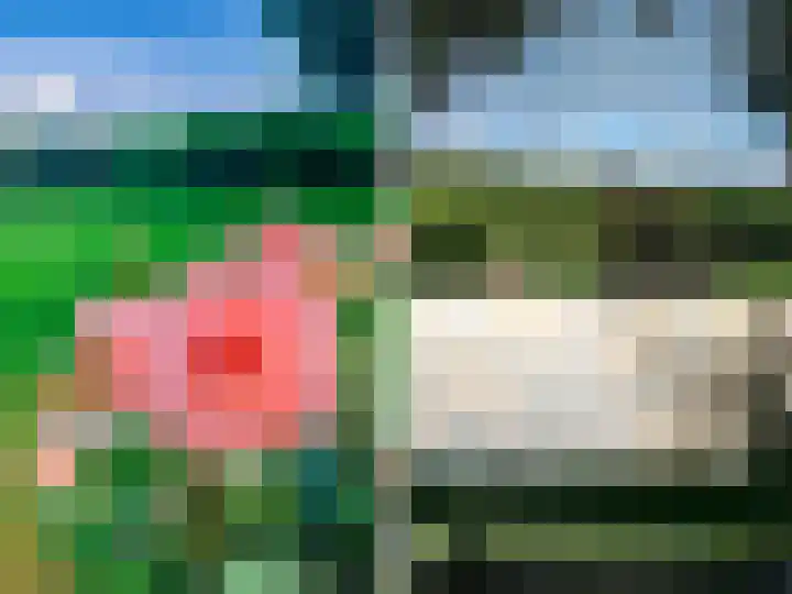 Scheuterdijk 27 Eefde thumbnail 62