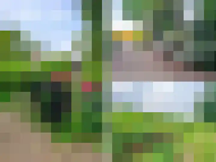 Scheuterdijk 27 Eefde thumbnail 63