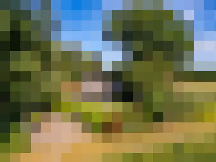 Scheuterdijk 27 Eefde thumbnail 66