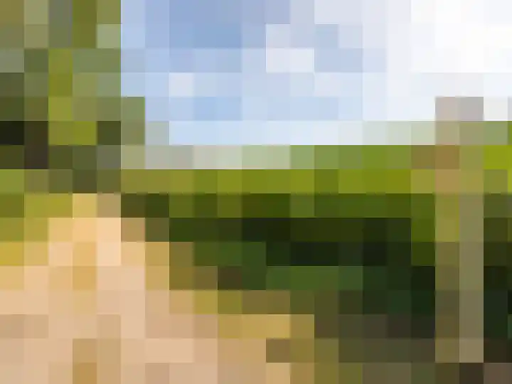 Scheuterdijk 27 Eefde thumbnail 68