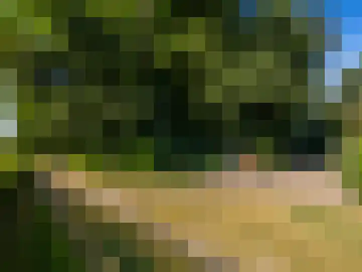 Scheuterdijk 27 Eefde thumbnail 69