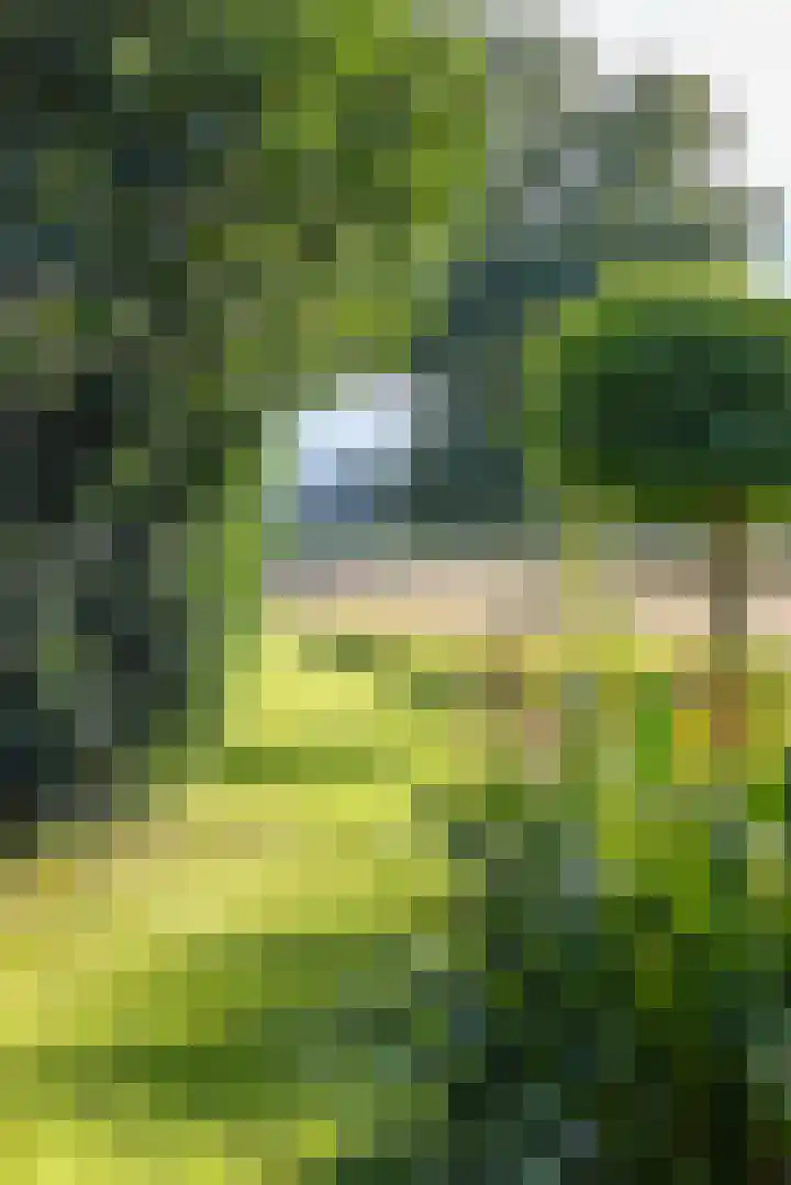 Scheuterdijk 33 Eefde thumbnail 12