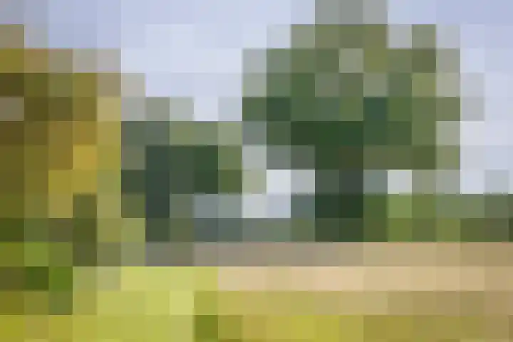 Scheuterdijk 33 Eefde thumbnail 14