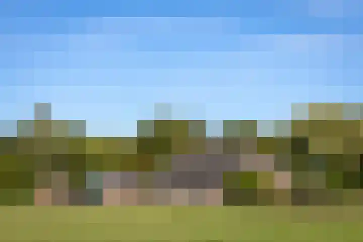 Scheuterdijk 33 Eefde thumbnail 16