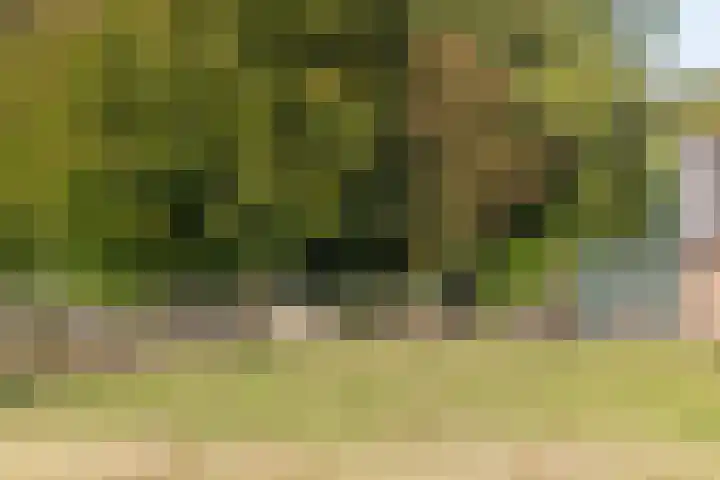 Scheuterdijk 33 Eefde thumbnail 18