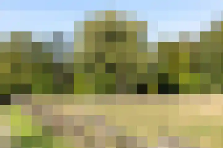 Scheuterdijk 33 Eefde thumbnail 19