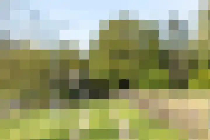 Scheuterdijk 33 Eefde thumbnail 22