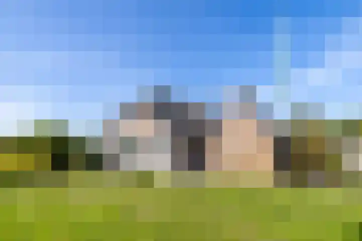 Scheuterdijk 33 Eefde thumbnail 38