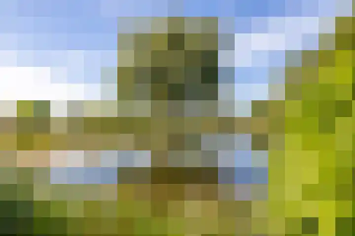 Scheuterdijk 33 Eefde thumbnail 4