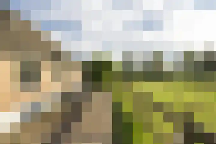 Scheuterdijk 33 Eefde thumbnail 47