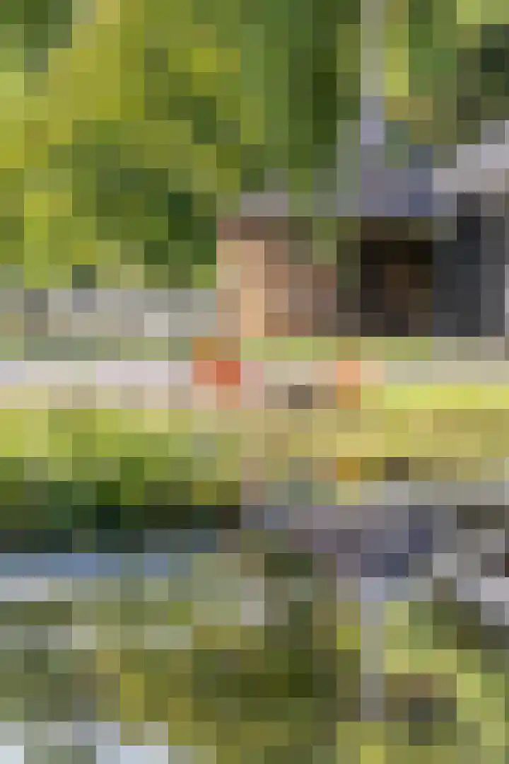 Scheuterdijk 33 Eefde thumbnail 5