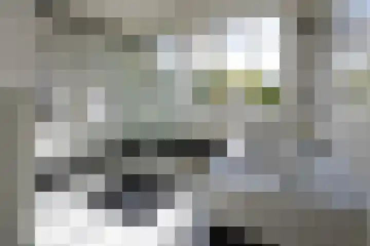 Scheuterdijk 33 Eefde thumbnail 52